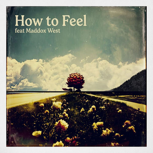 How To Feel