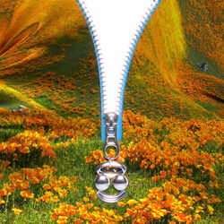 Cover of Lust For Life (BloodPop® Remix)