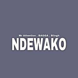 Cover of Ndewako