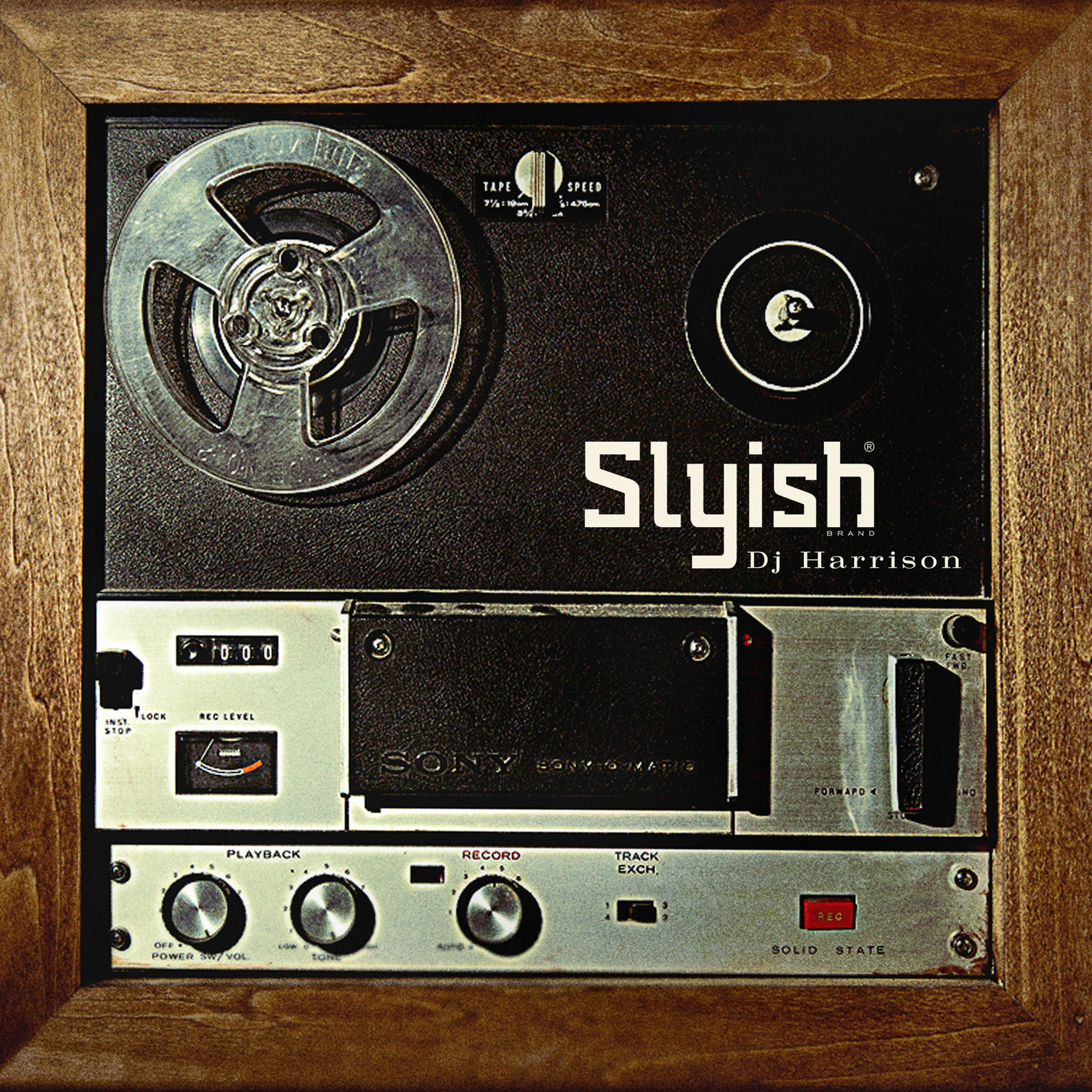 Album picture of Slyish