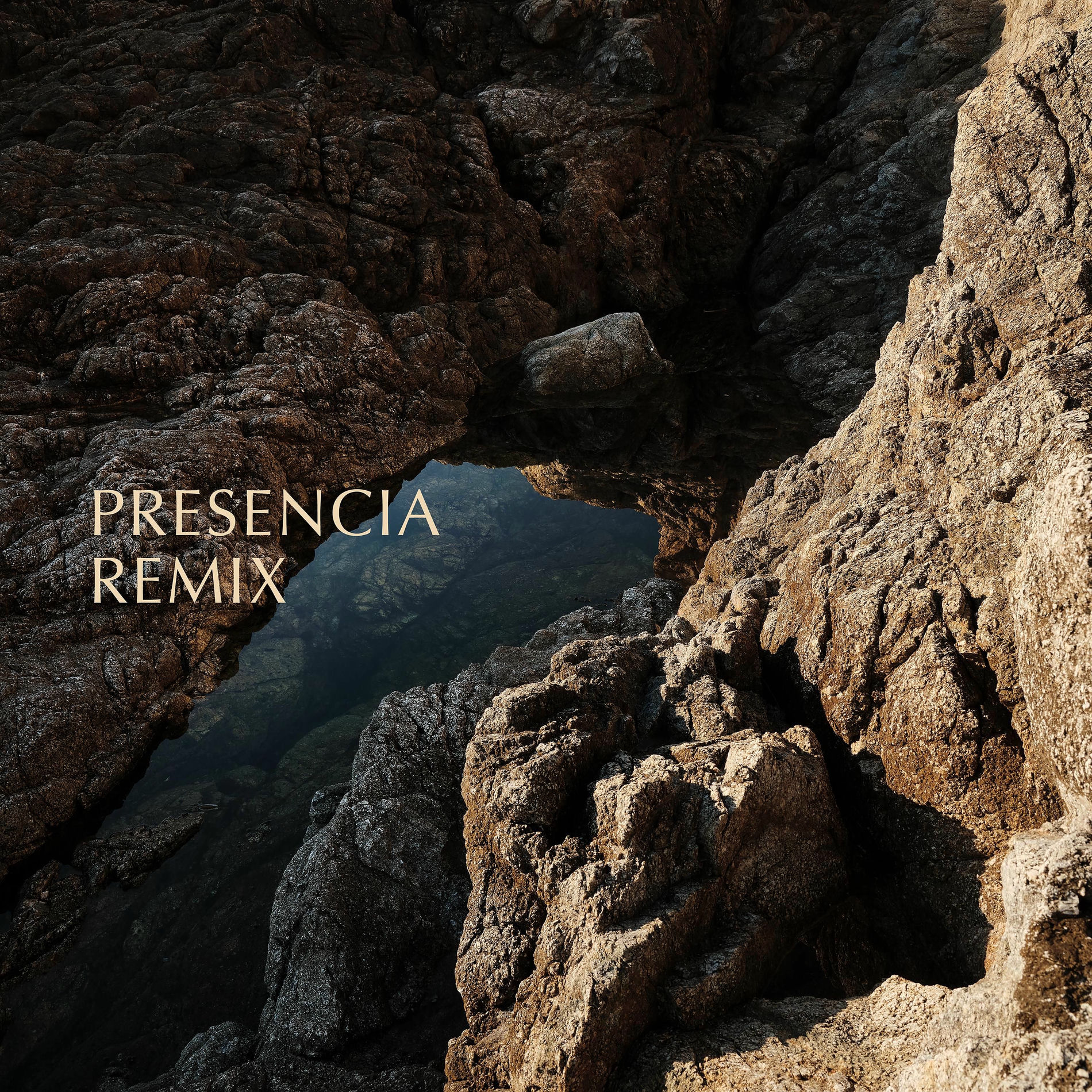 Album cover of Presencia - (Liam Fletcher Remix)