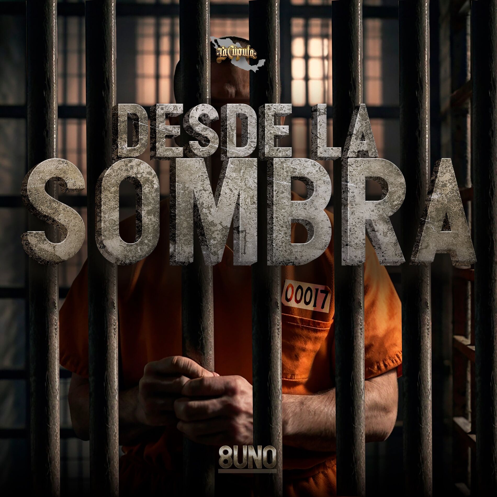 Album cover of Desde La Sombra