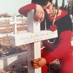 Cover of Dolores