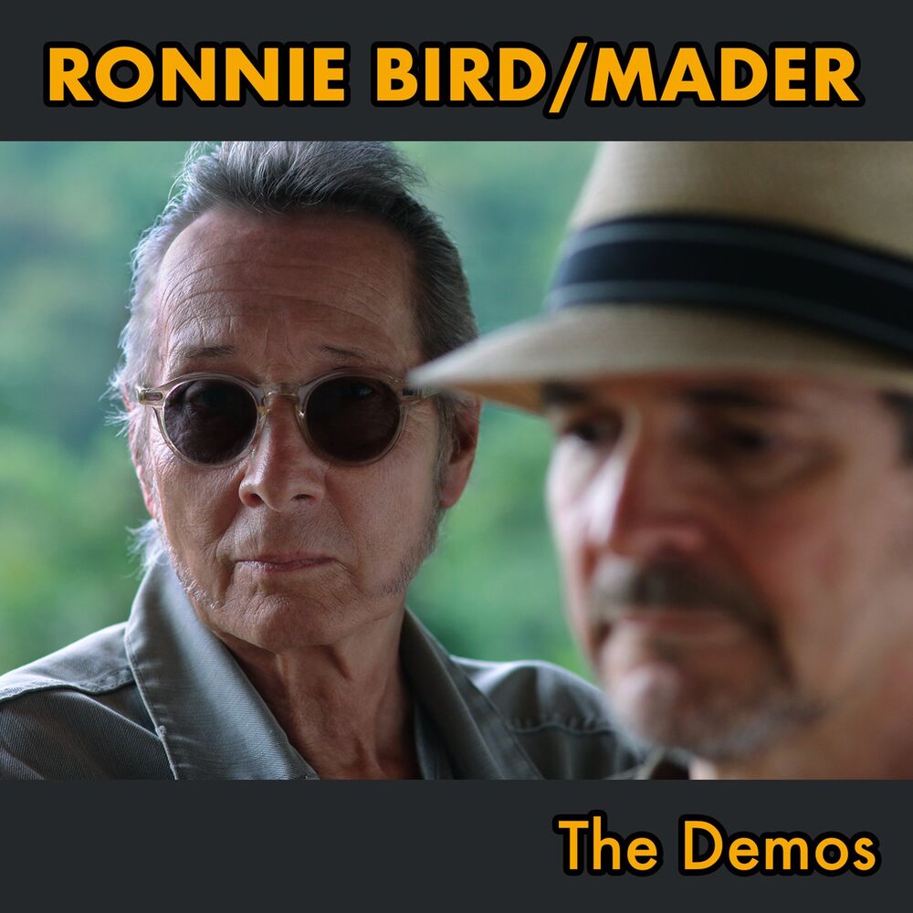 Picture of The Demos
