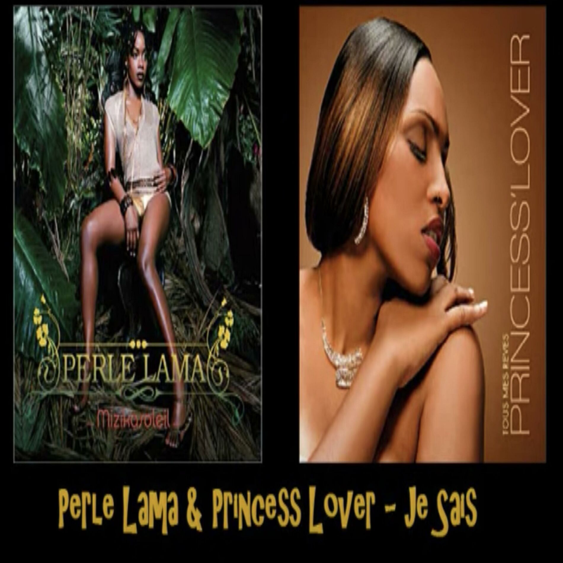 Album cover of Je Sais