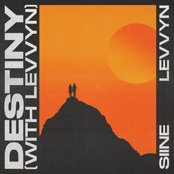 Cover of Destiny