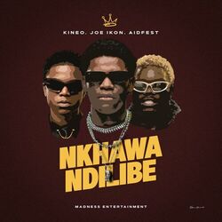 Cover of Nkhawa Ndilibe
