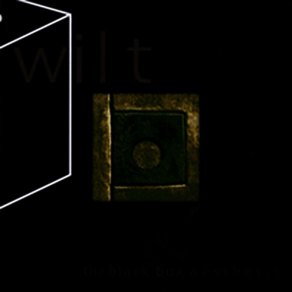 Picture of The Black Box Aesthetic
