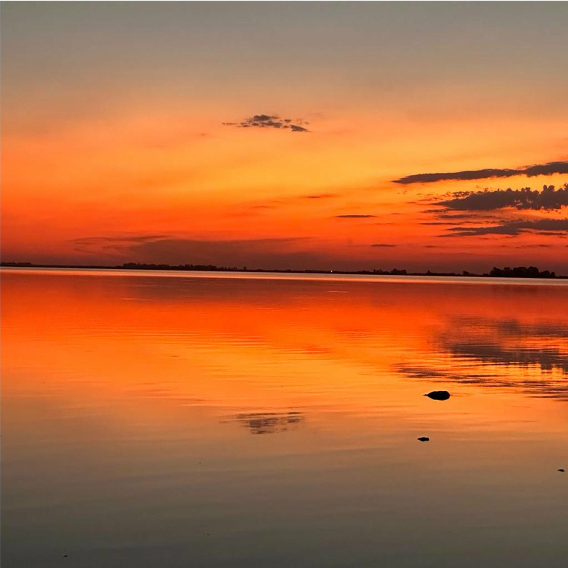 Album cover of Primavera