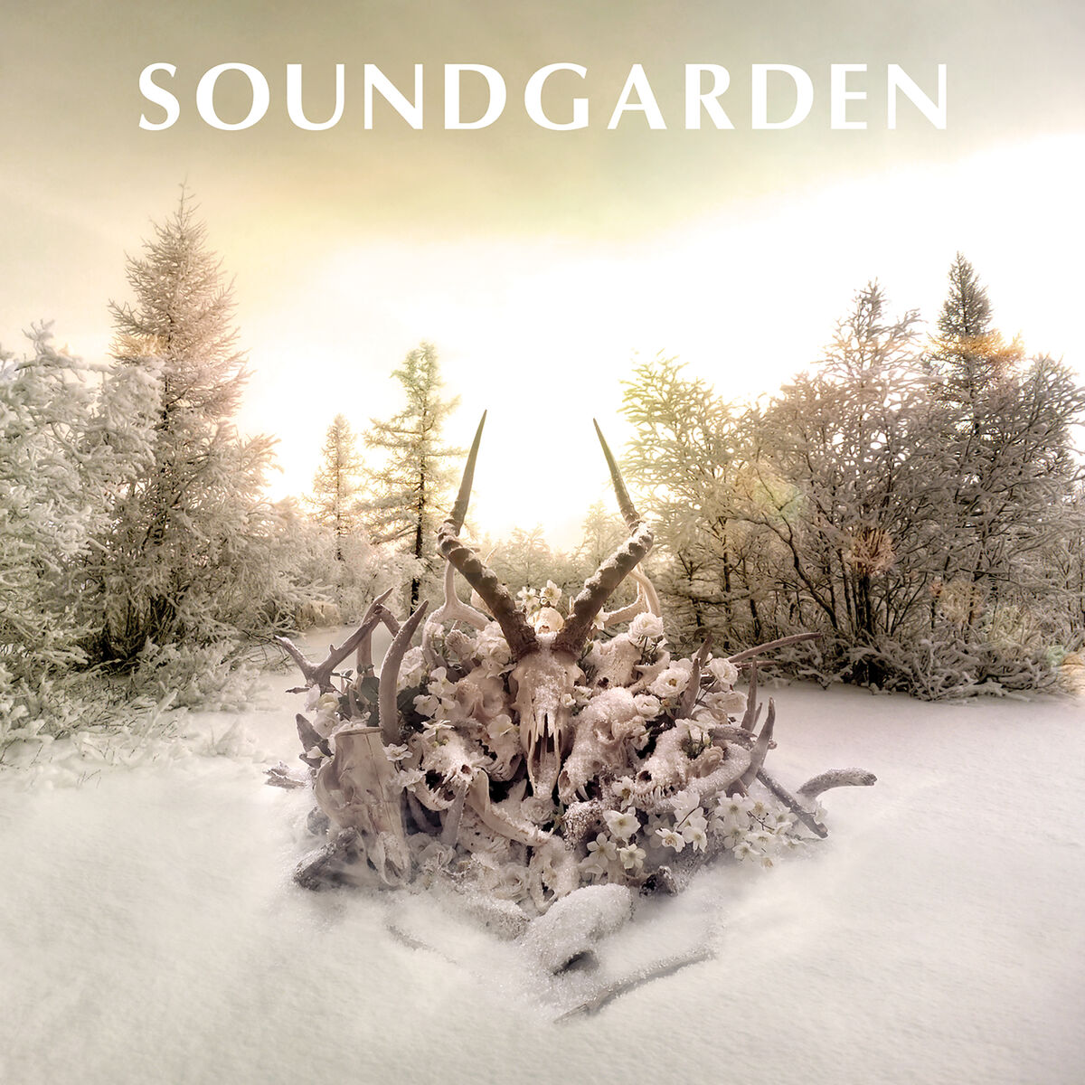 Album cover of Bones Of Birds