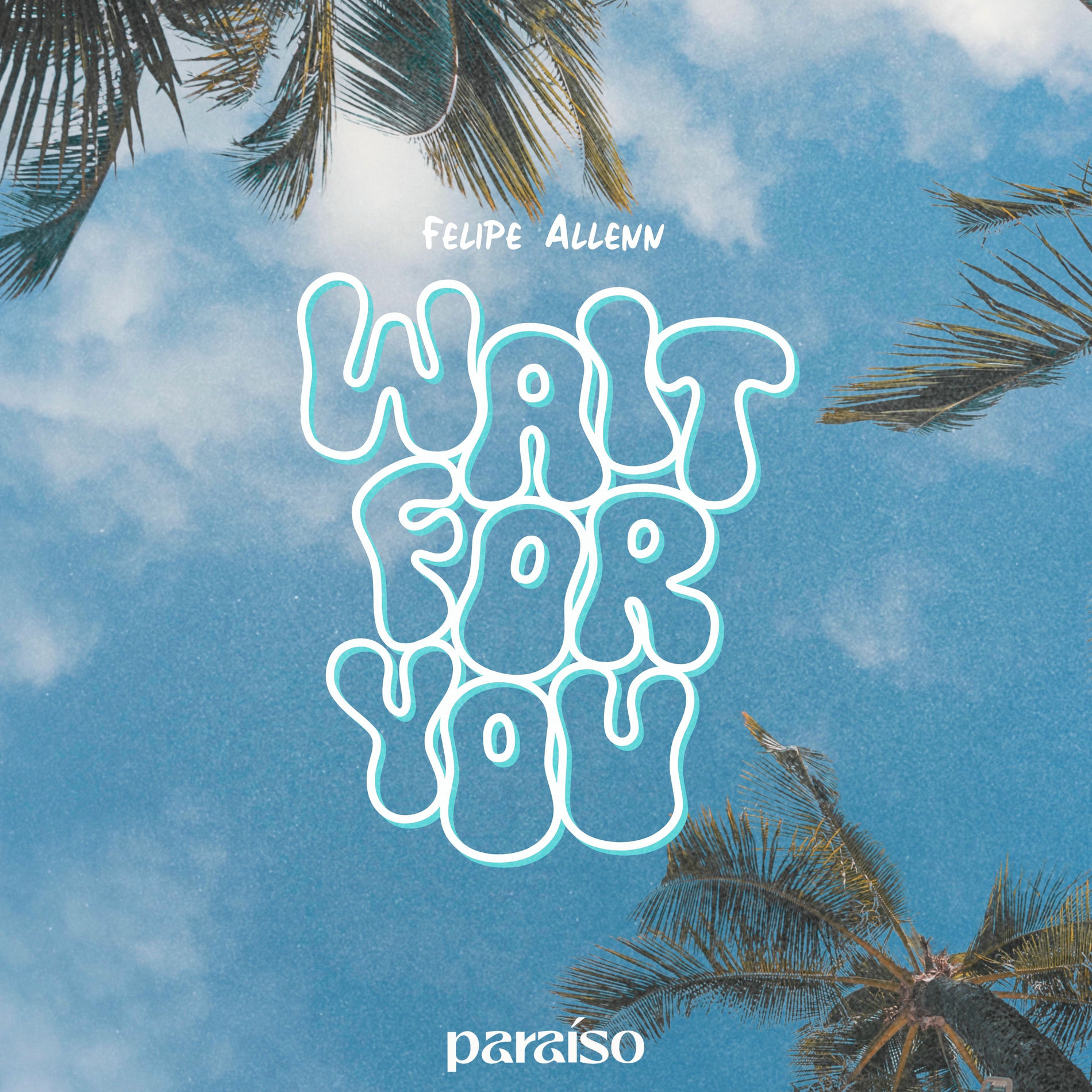 Album cover of Wait For You