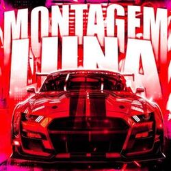 Montagem Luna