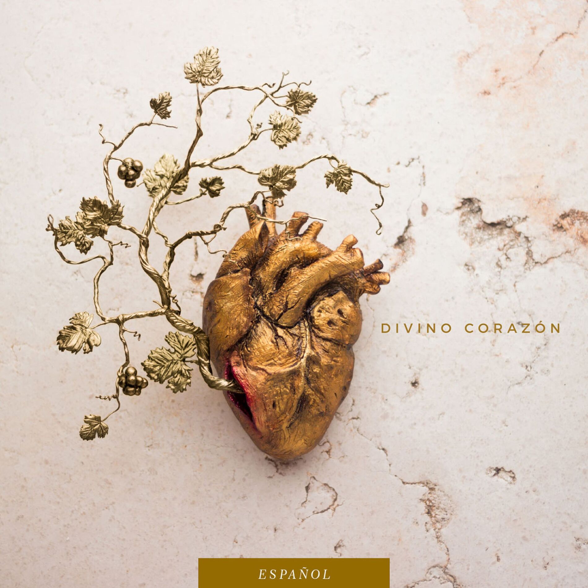 Album cover of Divino Corazón