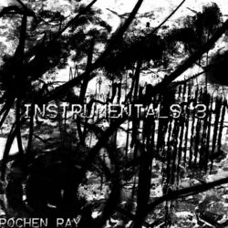 Cover of Instrumentals 3