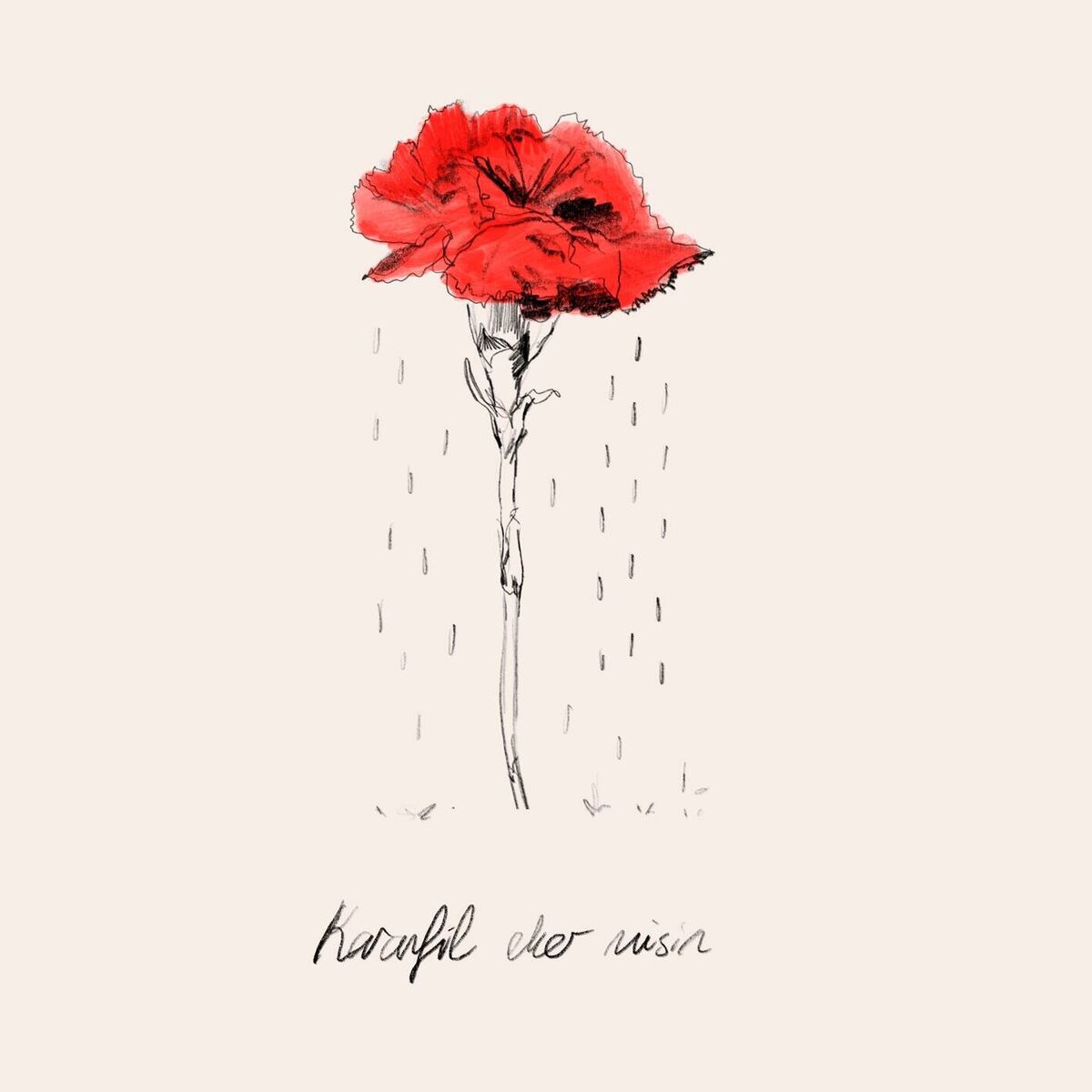 Album cover of Karanfil Eker Misin