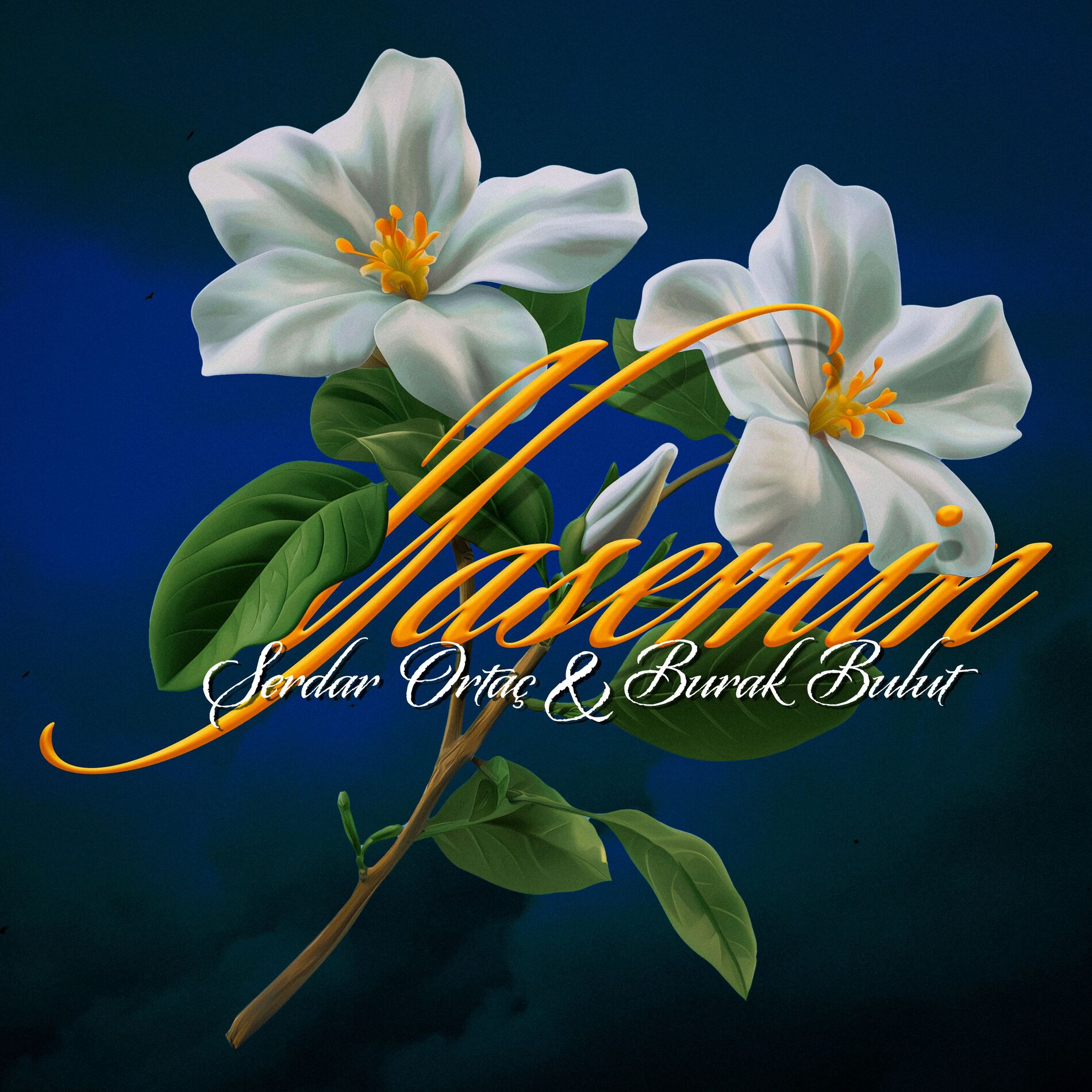 Album cover of Yasemin