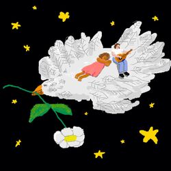 Cover of Seabird