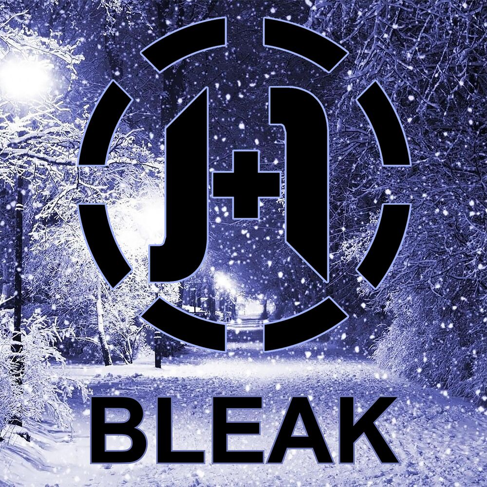 Picture of Bleak