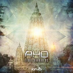 Cover of Light Around Us