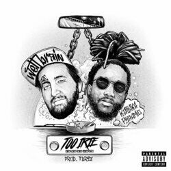 Cover of too irie