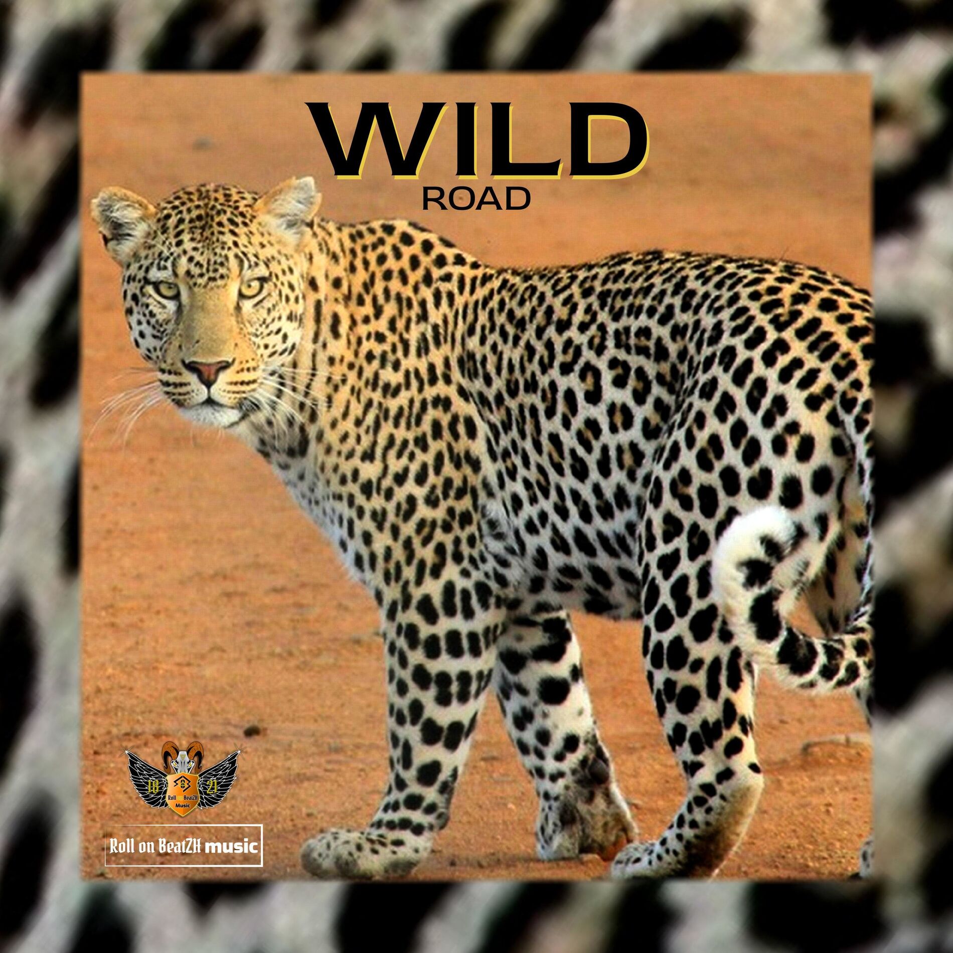 Album cover of Wild Road, Vol. 1 (Special Version)