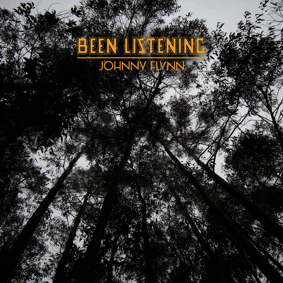 Album cover of Been Listening