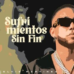 Cover of Sufrimientos Sin Fin