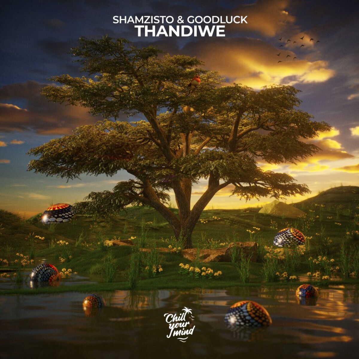 Album cover of Thandiwe