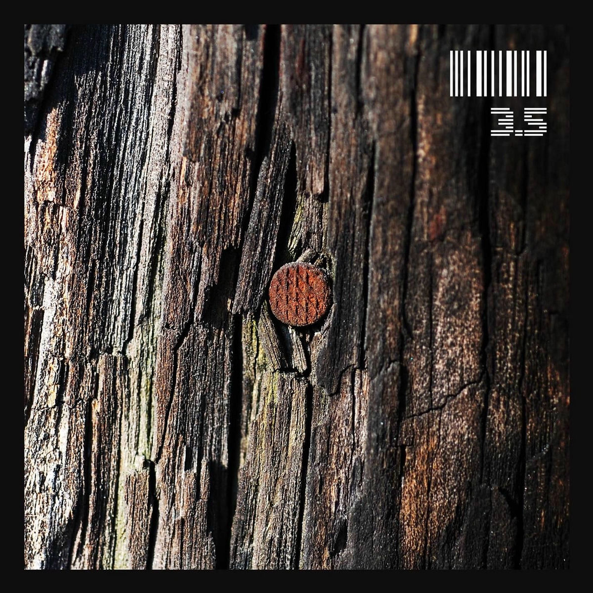 Album cover of Viscere 3.5