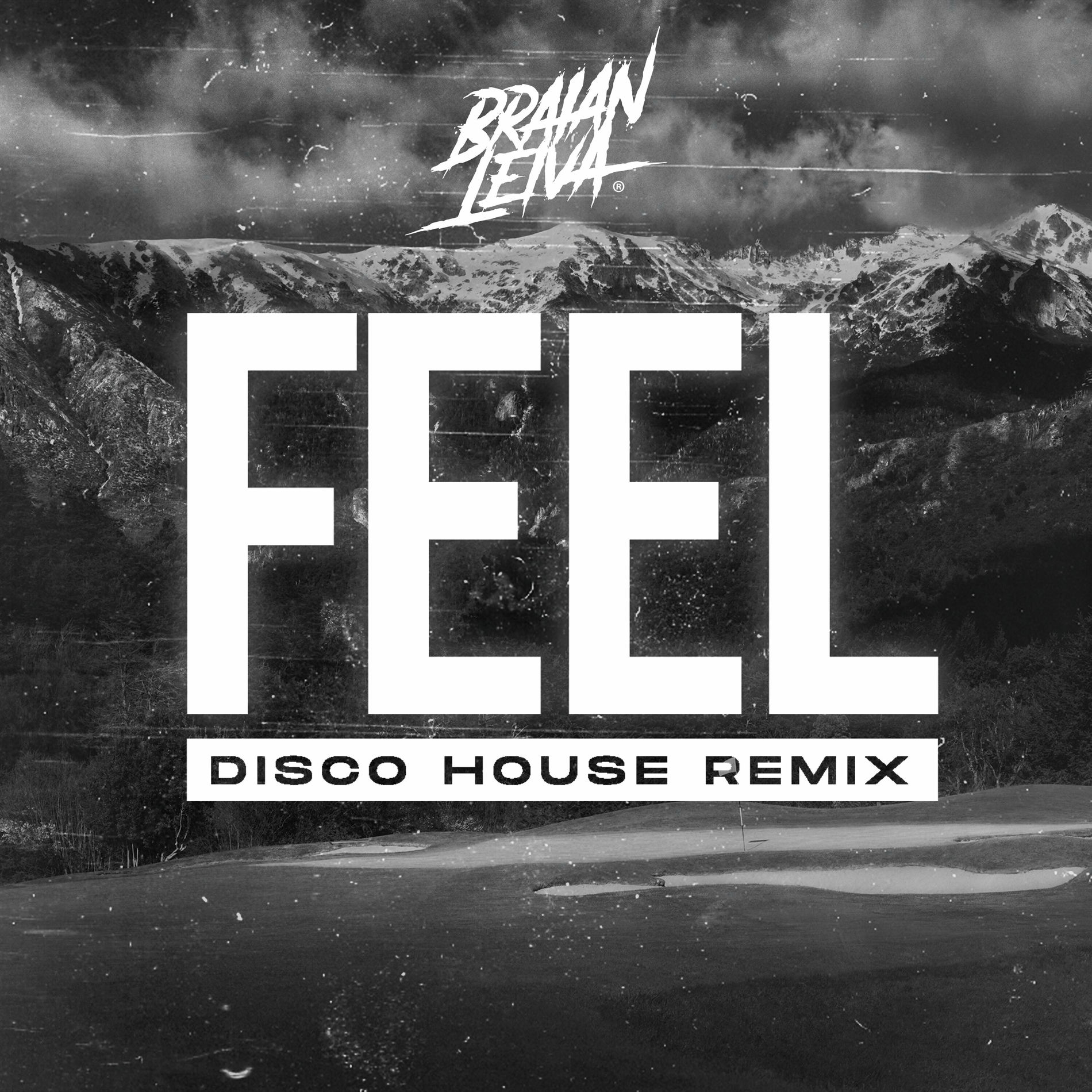 Album cover of Feel (Disco House) (Remix)