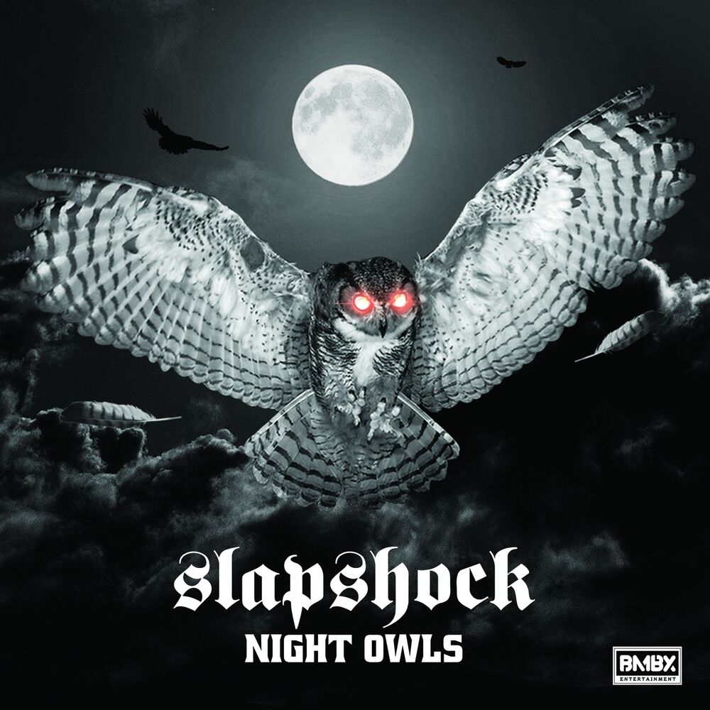 Picture of Night Owls