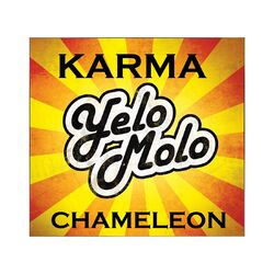 Cover of Karma Chameleon