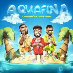 Cover of Aquafina