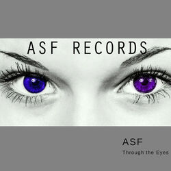 Cover of Through the Eyes