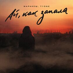 Cover of Ай, как запала
