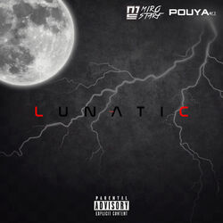 Cover of Lunatic