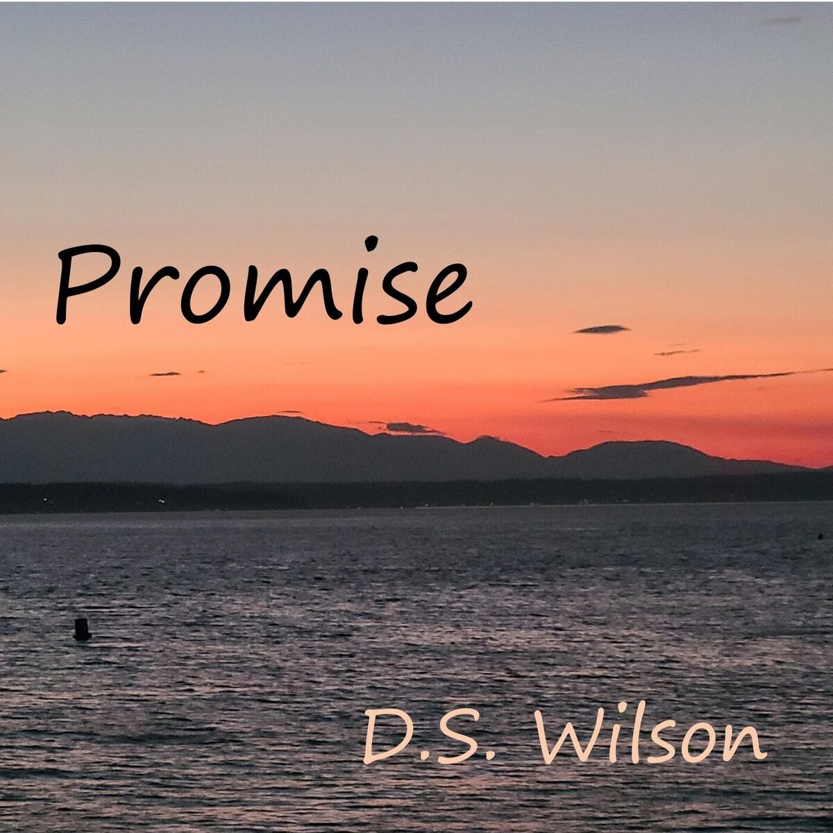 Album cover of Promise