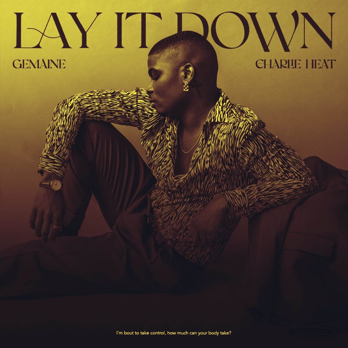 Album cover of Lay It Down