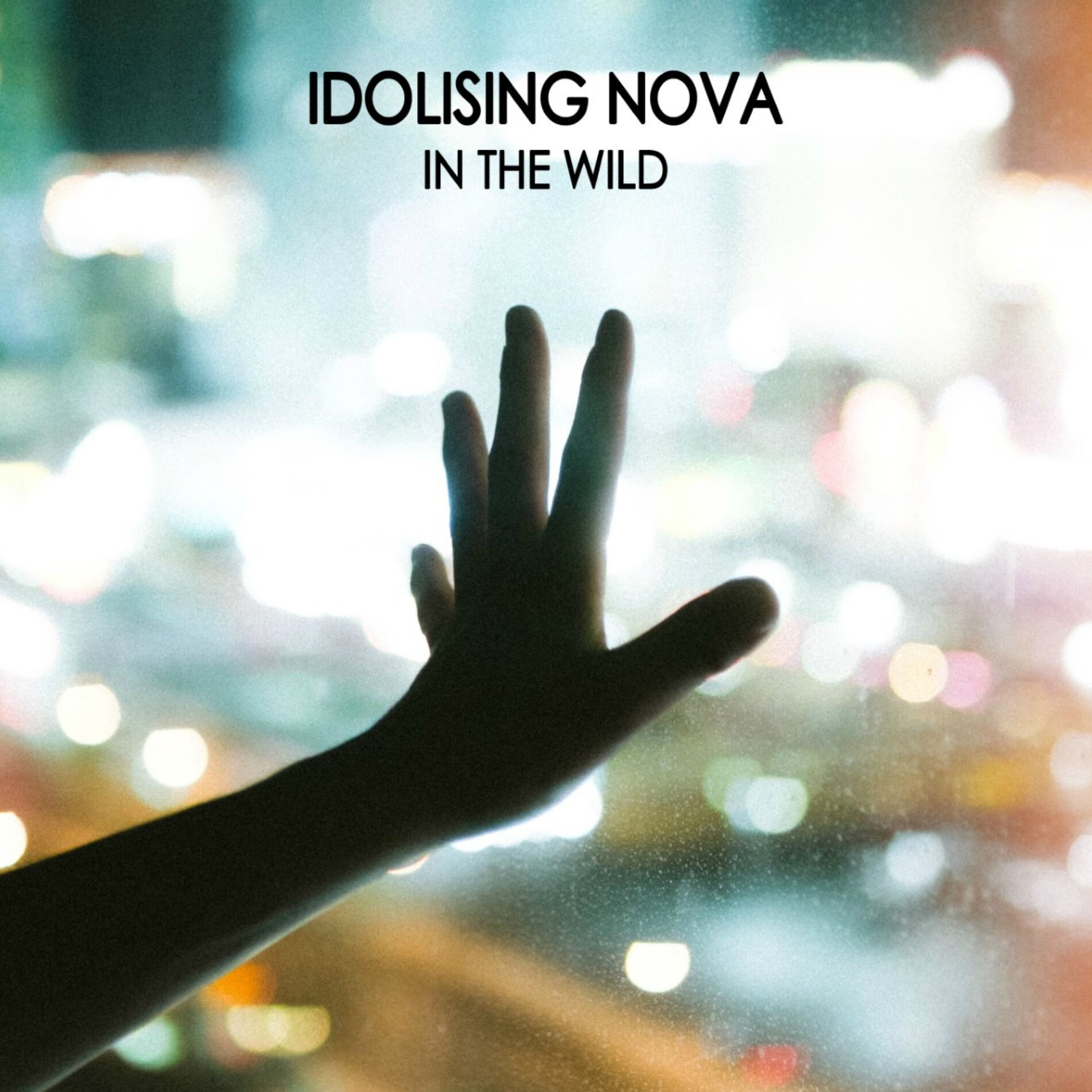 Album cover of In The Wild