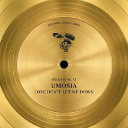 Cover of Love Don't Let Me Down