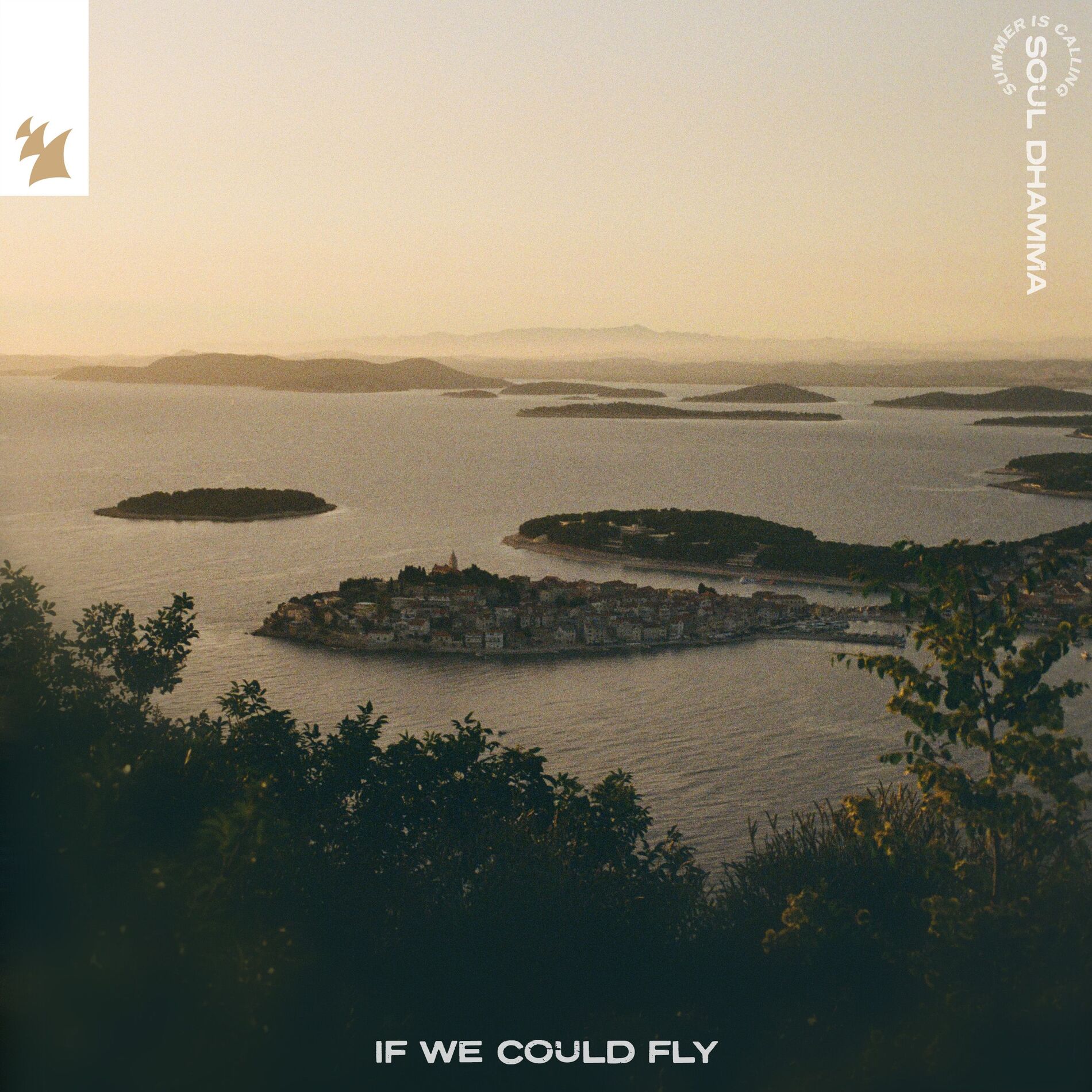 Album cover of If We Could Fly