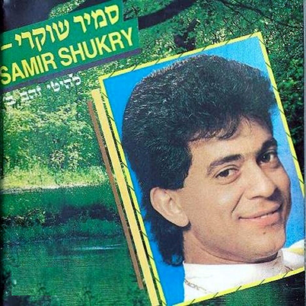 Picture of להיטי זהב ב