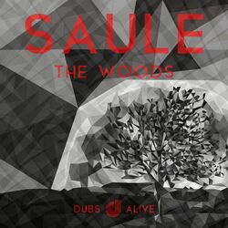 Cover of The Woods - EP