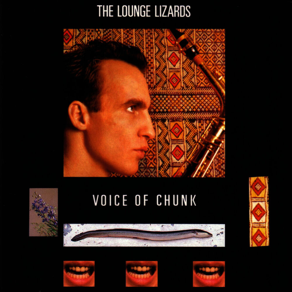 Picture of Voice Of Chunk