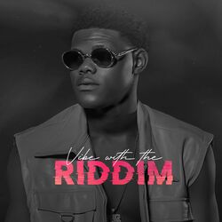 Cover of Vibes with the Riddim
