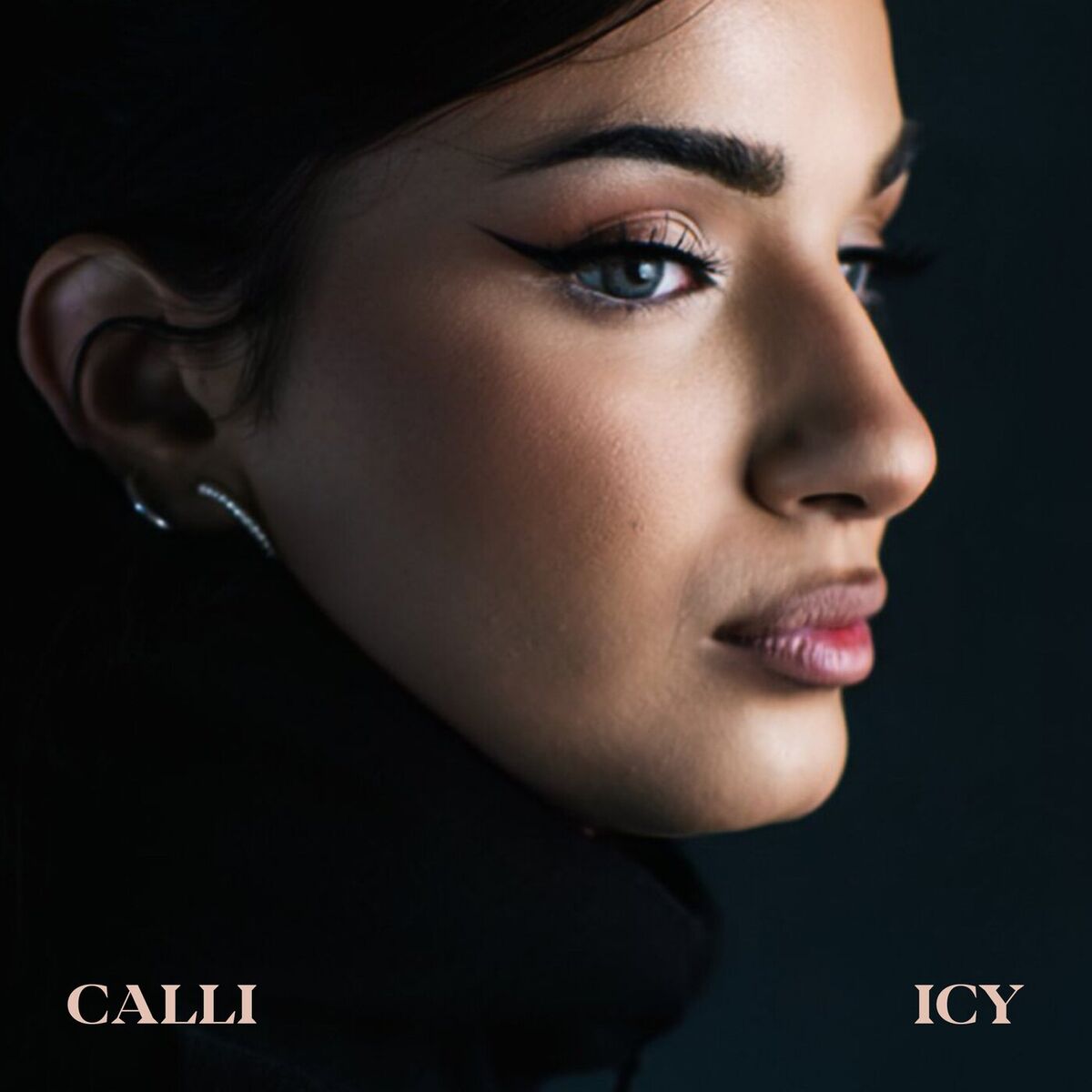 Album cover of ICY