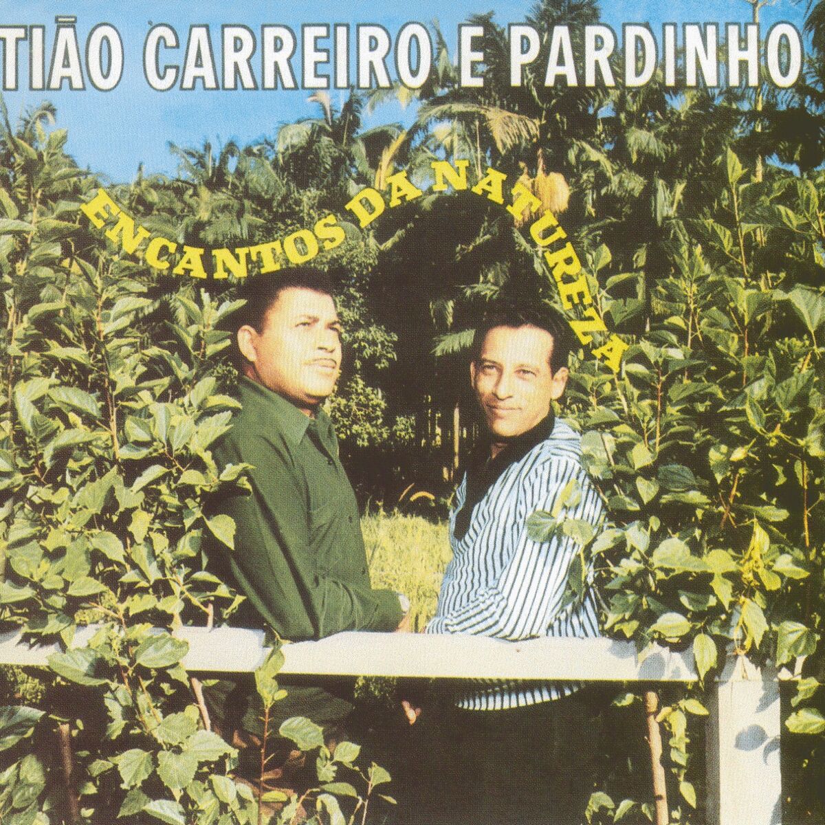 Album cover of Encantos da Natureza