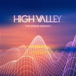 Cover of The Bergie Remixes