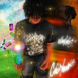 Cover of Ceg Year