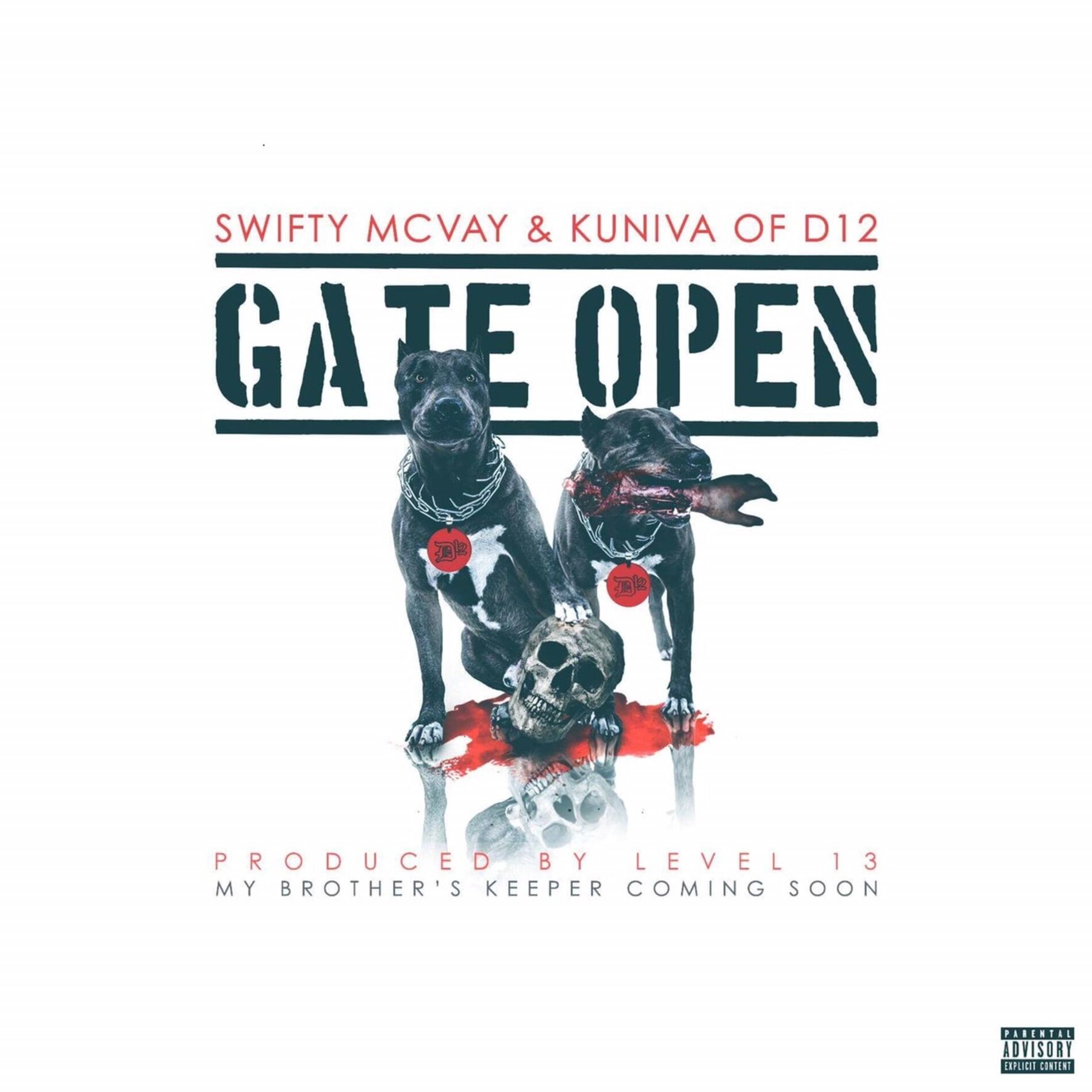 Album cover of Gate Open